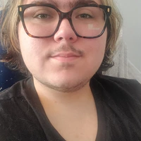 Buscando compañero de cuarto en Central Tampa, North Tampa - Tampa