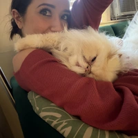 Looking for a roommate in NE DC, NW DC, SE DC, SW DC - Washington DC
