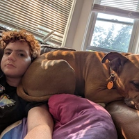 Looking for a roommate in KCMO, Outer KCMO - Kansas City