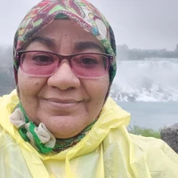 Looking for a roommate in Downtown TO, North York - Toronto