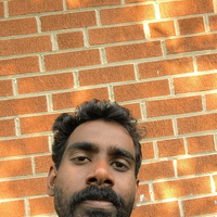 Looking for a roommate in Downtown TO, York Region, North York - Toronto