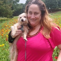 Looking for a roommate in Central Raleigh, Chapel Hill, Durham, North Raleigh, Outer Triangle, South Raleigh - Raleigh