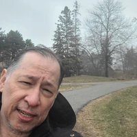 Looking for a roommate in Downtown TO, North York - Toronto