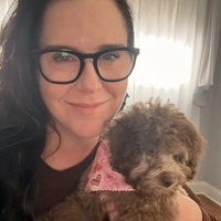 Looking for a roommate in Manhattan, Brooklyn - New York