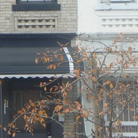 Cuarto en Renta en East New York - Brooklyn, New York