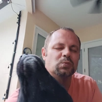 Looking for a roommate in South Orlando, West Orlando - Orlando