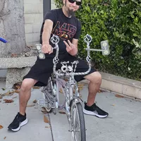 Looking for a roommate in Central Tampa - Tampa