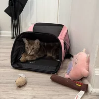 Looking for a roommate in Manhattan, Brooklyn, Queens, The Bronx, Jersey City / Hoboken - New York