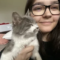 Looking for a roommate in Center Denver, North Denver - Denver