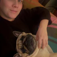Looking for a roommate in Downtown Van - Vancouver