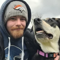 Looking for a roommate in York Region - Toronto