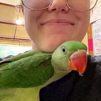 Looking for a roommate in Miami, Miami Beach - Miami