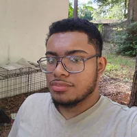 Looking for a roommate in Central Orlando, South Orlando, North Orlando, East Orlando, Outer Orlando, West Orlando - Orlando