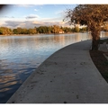 Room for rent in Van Nuys #12