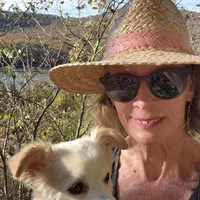 Looking for a roommate in Brooklyn - New York