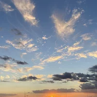 Looking for a roommate in Manhattan, Brooklyn, Queens - New York