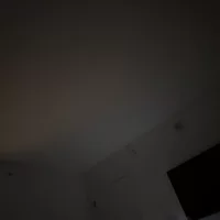Looking for a roommate in Broward County, Miami Dade - Miami