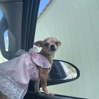 Looking for a roommate in Ne Houston - Houston