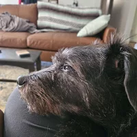 Looking for a roommate in Central Cincinnati, West Side Cincinnati, East Side Cincinnati, West/NW Cincinnati Suburbs, Northern Kentucky - Cincinnati