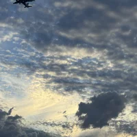Looking for a roommate in Phoenix - Phoenix