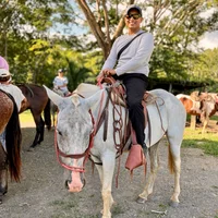 Buscando compañero de cuarto en Central Austin, South Central Austin - Austin