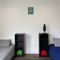 Coliving in Westwood - Westside / South Bay, Los Angeles