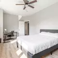 Coliving in Little Italy/Uic - Central, Chicago
