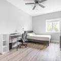 Coliving in Little Italy/Uic - Central, Chicago
