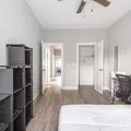 Coliving in Little Italy/Uic - Central, Chicago