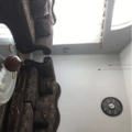 Room for rent in Garland #1