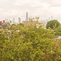 Coliving in Crown Heights - Brooklyn, New York
