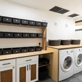 Coliving in Crown Heights - Brooklyn, New York