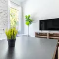 Coliving in North Austin Civic Association - North Austin, Austin