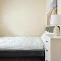 Coliving in West Town - West Side, Chicago