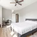 Coliving in Little Italy/Uic - Central, Chicago