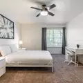 Coliving in Lost Creek - West Austin, Austin
