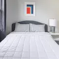Coliving in East Sommerville - Somerville, Boston