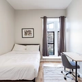 Coliving in Prospect Lefferts Gardens - Brooklyn, New York