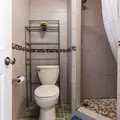 Coliving in Prospect Lefferts Gardens - Brooklyn, New York