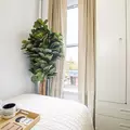 Coliving in Prospect Heights - Brooklyn, New York