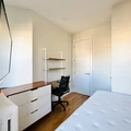 Coliving in Williamsburg - Brooklyn, New York
