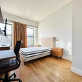 Coliving in Bushwick - Brooklyn, New York