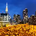 Room for rent in LIC #17