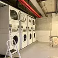 Coliving in Prospect Lefferts Gardens - Brooklyn, New York