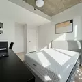 Coliving in Prospect Lefferts Gardens - Brooklyn, New York