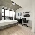 Coliving in Prospect Lefferts Gardens - Brooklyn, New York