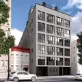 Coliving in Prospect Lefferts Gardens - Brooklyn, New York