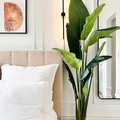 Coliving in Prospect Lefferts Gardens - Brooklyn, New York