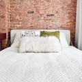Coliving in Bushwick - Brooklyn, New York