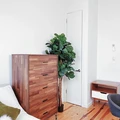 Coliving in Bushwick - Brooklyn, New York